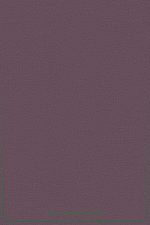 کاغذ دیواری کاسلیو 102834