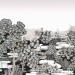 کاغذ دیواری راش با طراحی شیک و مدرن و تنوع رنگی مناسب برایدکوراسیون داخلی