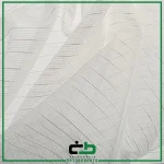 طرح win-61-design