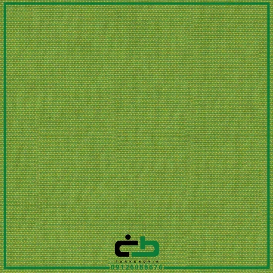 طرح climbing-parrot - Image 4