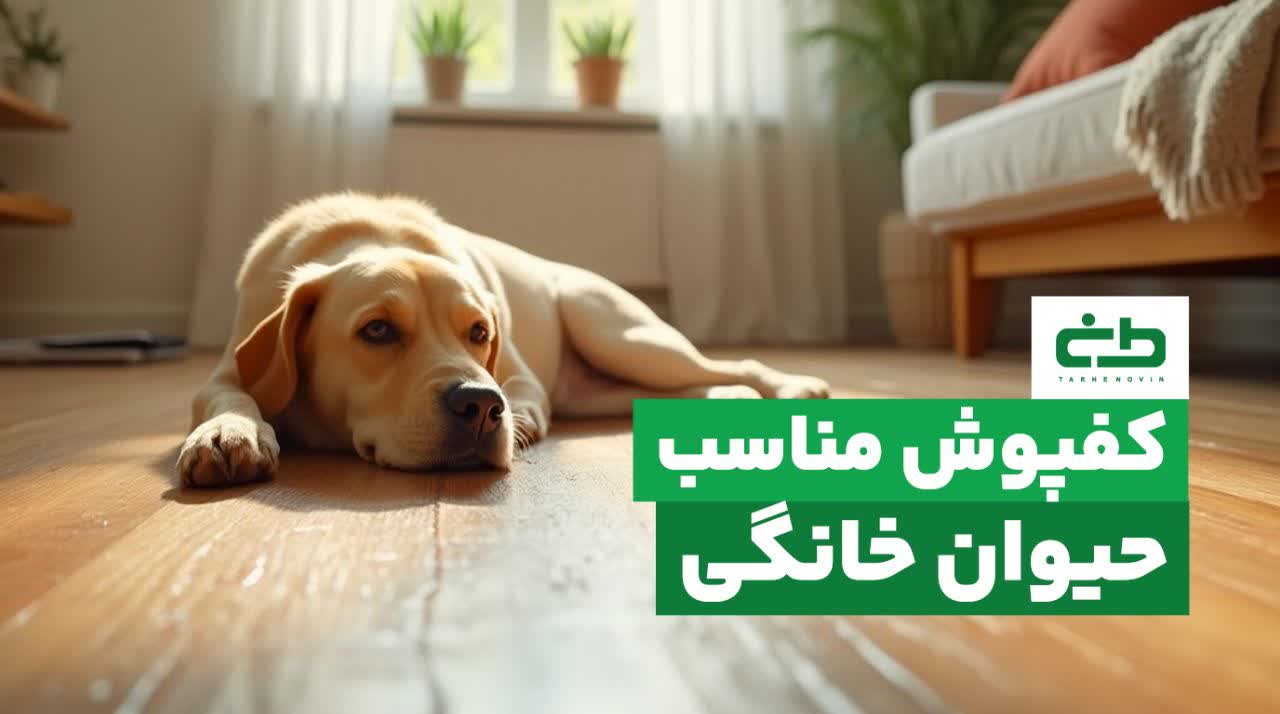 کفپوش مناسب حیوان خانگی | راهنمای جامع انتخاب کفپوش بادوام برای خانه‌هایی با سگ و گربه