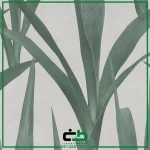 کاغذ ديواري راش طرح green-leaves - Image 4