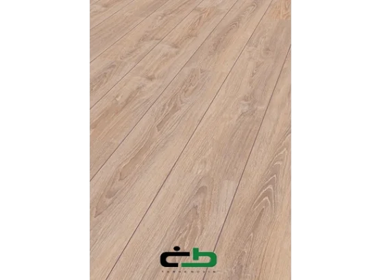 لمینیت Elite 4910