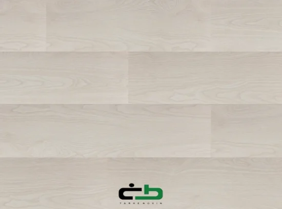 لمینیت Experience 6000