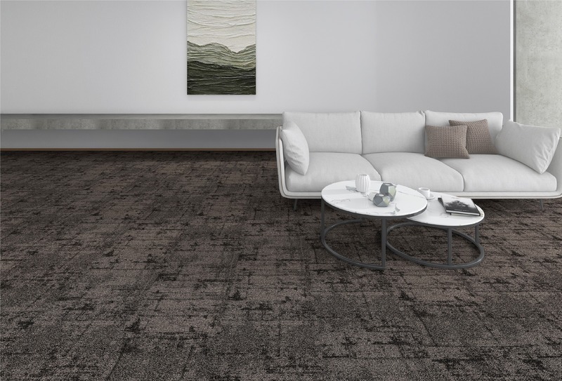 آلبوم موکت Paragon Evolve